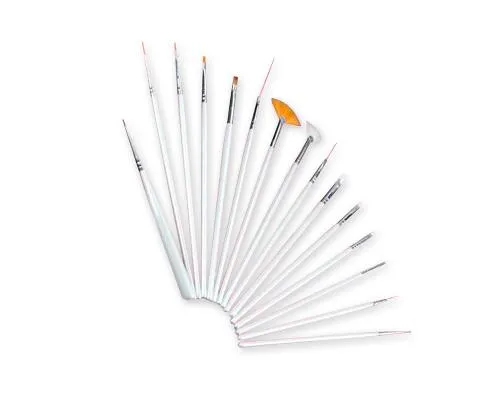 15 Pcs Nail Art Drawing Brushes Set Tool