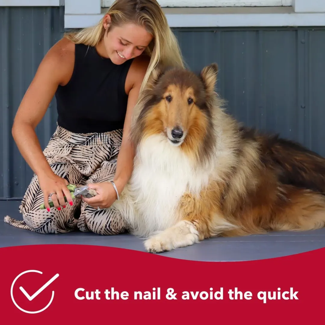 Coastal Safari Professional Nail Trimmer for Dogs