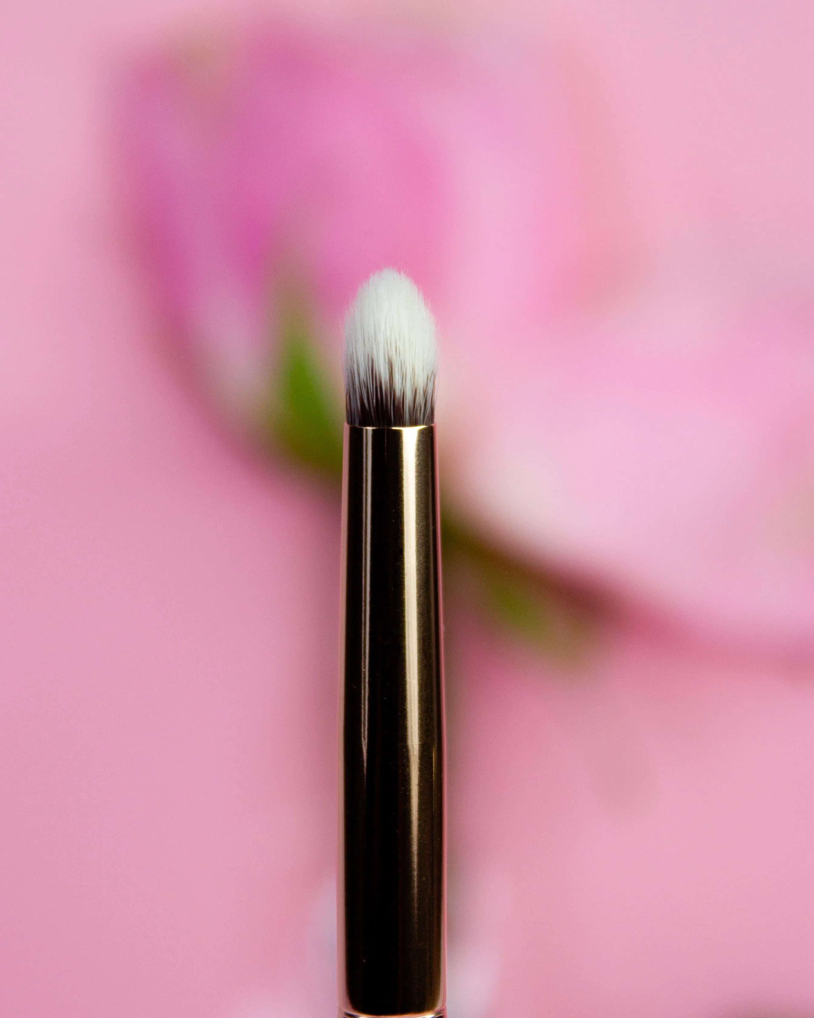 Essential Makeup Brushes