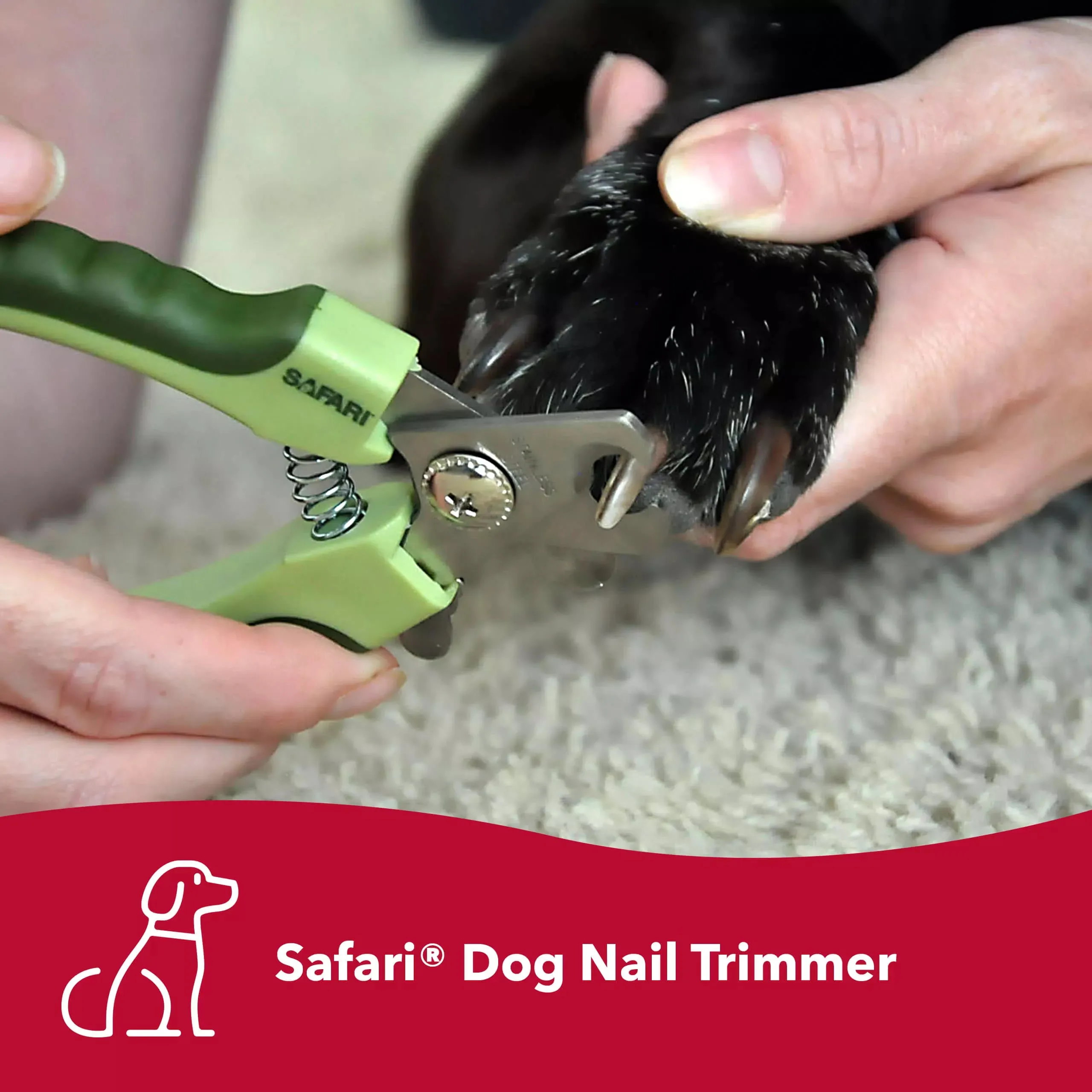 Safari Stainless Steel Professional Nail Trimmer for Large Dogs